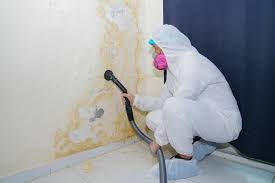 Asbestos and Lead Testing During Mold Inspection